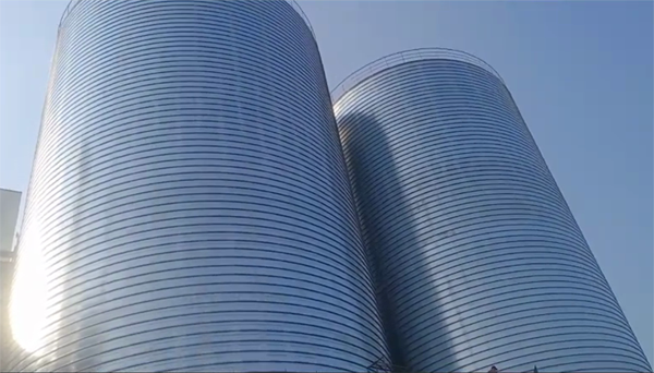 宁安2座混凝土高架卷板仓